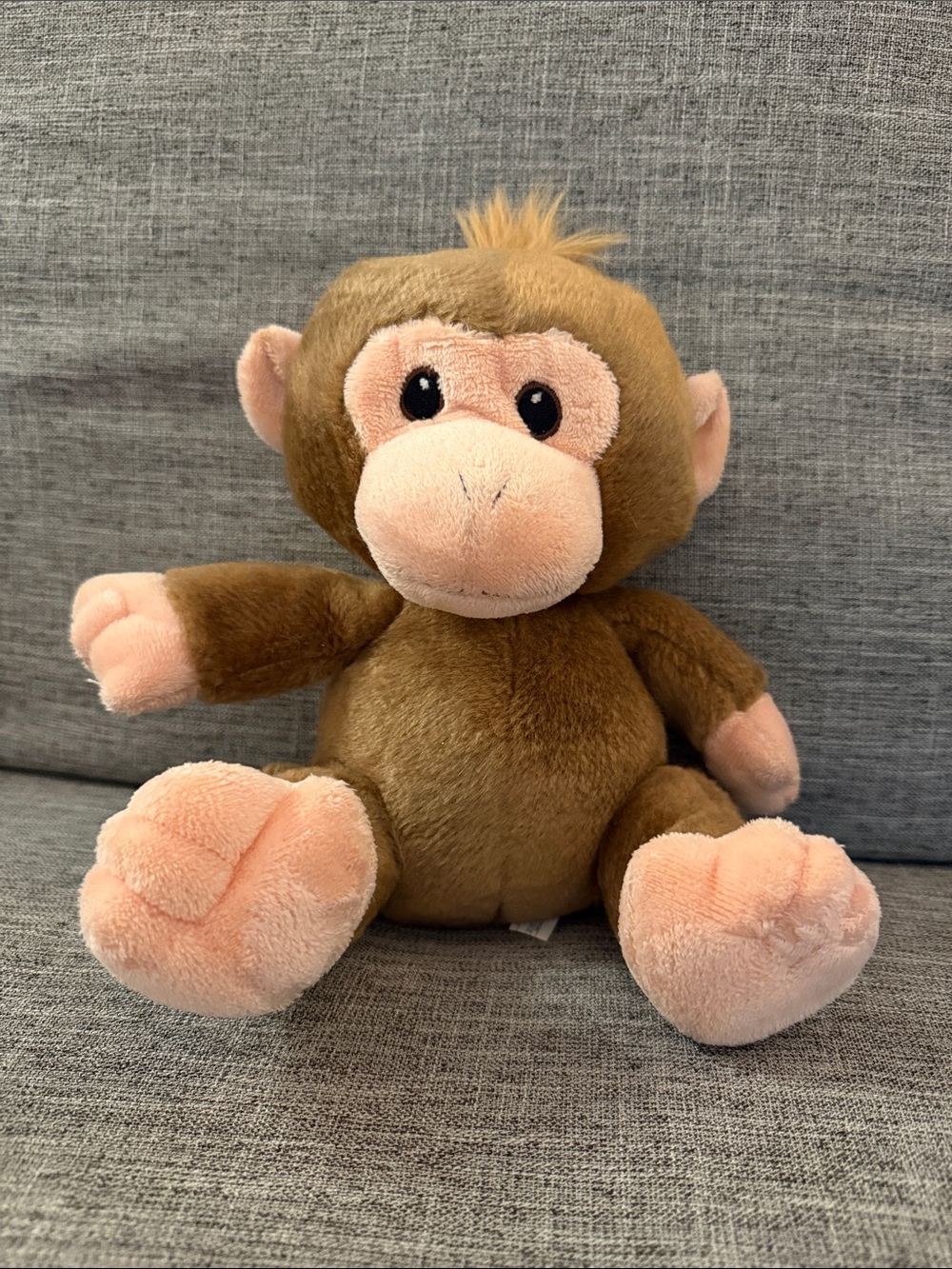 Aurora Plush Monkey Soft Toy